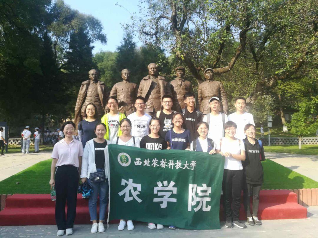 再见足球城、球迷心已死,大连38岁老将朱挺直播退役:我的忠诚和倔强就到此为止了